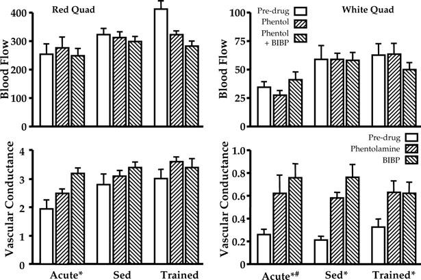 quadriceps were reasonably well maintained following receptor inhibition, albeit at very different flow rates.