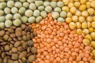 oilseeds (12-17 mg/kg), pulses (6-8 mg/kg), wheat germs