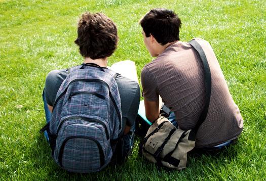 Questions to Consider What do social relationships and friendships look like to you in the high school setting?