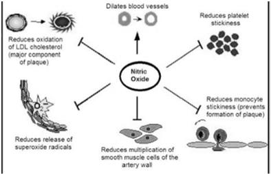 A Word about Nitric Oxide.