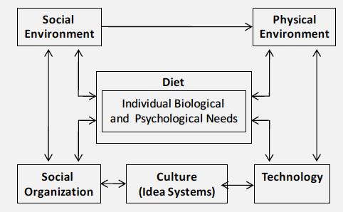 Ecological model for diets Image source: Pelto, Dufour and Goodman.