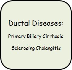 Cholangitis Sclerosing Cholangitis Acute Injury: Viral Hepatitis Toxin