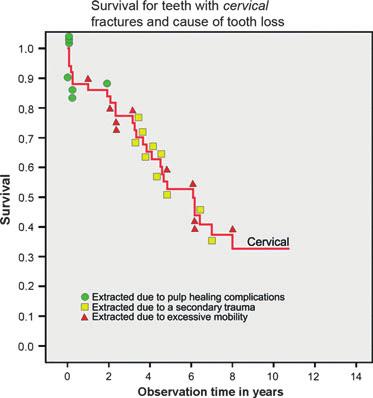 Hard tissue healing No tooth loss was observed in patients with hard tissue healing regardless of the position of the fracture. Fig. 4.