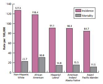 Female Breast Cancer Incidence and Mortality Rates* by Race and Ethnicity, US *Rates are age adjusted to the 2000 US standard population.