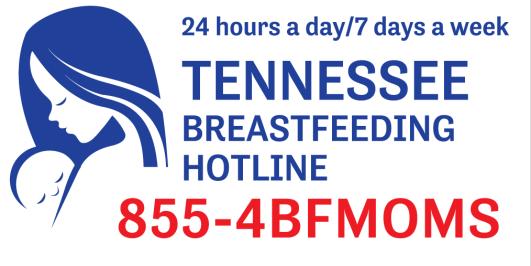 Call Volume, N Tennessee Breastfeeding Hotline 24/7 access to certified lactation counselor or consultant Available to anyone mothers, other family members, health care providers Total call volume