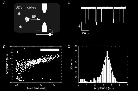 dwell time for both SDS micelles alone and SDS-treated proteins. The conductance blockade histogram is presented in Figure S6d. Figure S6. Translocation of SDS micelles Figure S6.