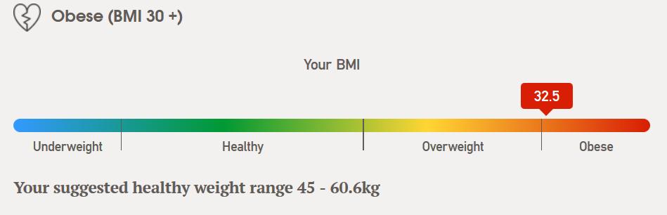 BMI Results As you can see, it has come up at 32.