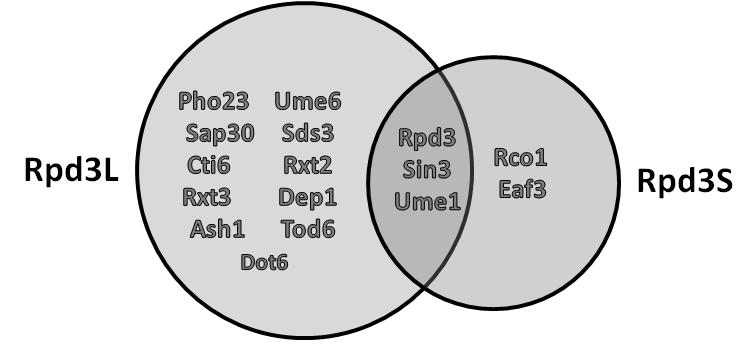 Figure 2: Venn diagram of two