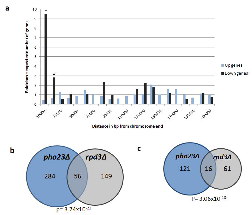 45 Figure 12: pho23 mis-regulated genes have a statistically significant overlap with rpd3 misregulated genes. a) Enrichment of rpd3 down-regulated genes proximal to the telomere.