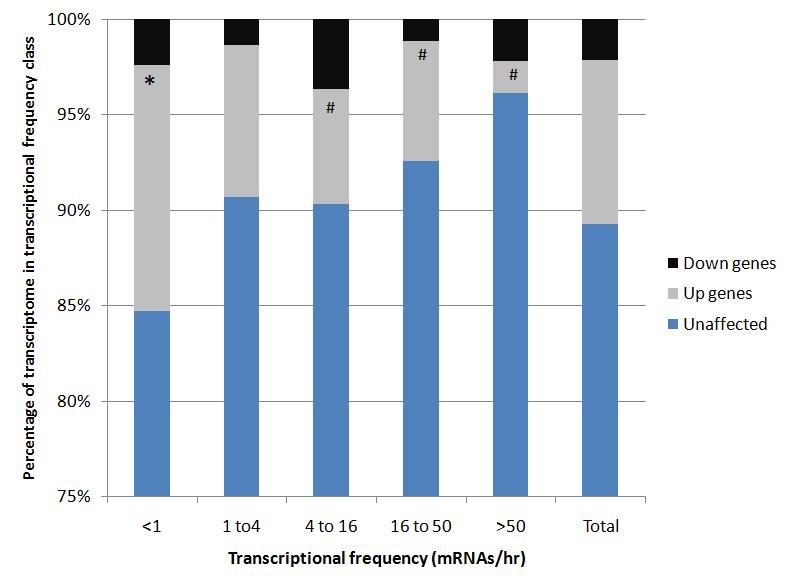 51 Figure 15: pho23 up genes are enriched for weakly expressed genes. Significantly misregulated genes in pho23 grouped by transcriptional frequency.