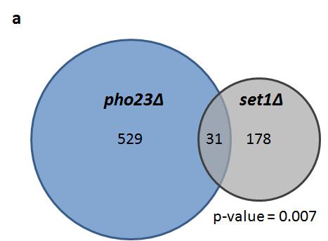 57 Figure 19: Comparison of up genes in pho23 and set1 microarrays.