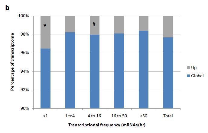 b) Genes binned as a percentage of total transcriptome according to 5 classes of transcriptional