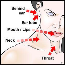 Ways to Stimulate Arousal Erogenous zone Ears, neck,