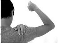 Where is the Pain Coming From: Cervical Spine or The Shoulder David J Pleva, PT, MA, Dip.