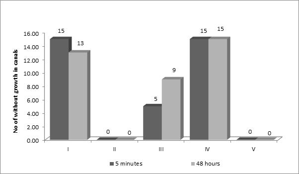 chlorhexidine (p>0.005), but both had significantly higher antibacterial effect than 5.25% NaOCl, after 5 minutes of irrigation (p=0.0001).
