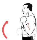 Exercises Day 1 1. Keep your arm in the sling and move your hand up and down at the wrist. 2.