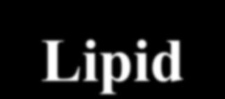 Lipid-Lowering Efficacy of Ezetimibe