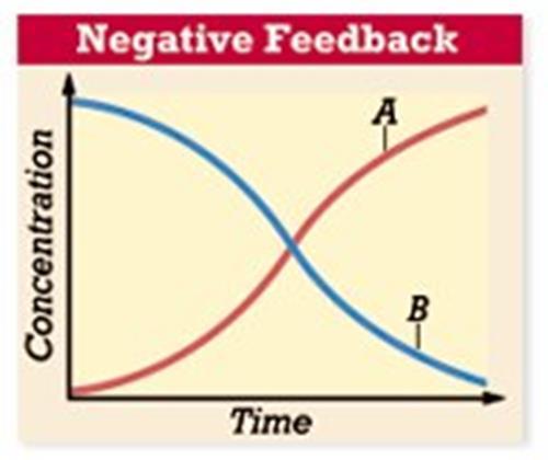 REVIEW OF FEEDBACK MECHANISMS Process that