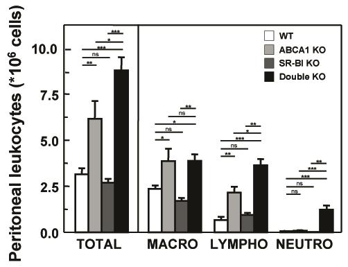 Chapter 5 Cholesterol efflux experiments were also performed using macrophages laden with acetylated LDL.