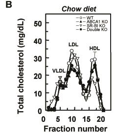 Total serum cholesterol levels and lipoprotein cholesterol distribution profile in LDLr KO mice reconstituted with WT, ABCA1 KO, SR-BI KO and ABCA1/SR-BI double KO bone marrow at 8 weeks after