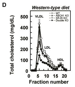 Lipoprotein distribution of total cholesterol of WT ( ), ABCA1 KO ( ), SR-BI KO ( ), and ABCA1/SR-BI double KO ( ) reconstituted mice on chow (B) and Western-type diet (D).