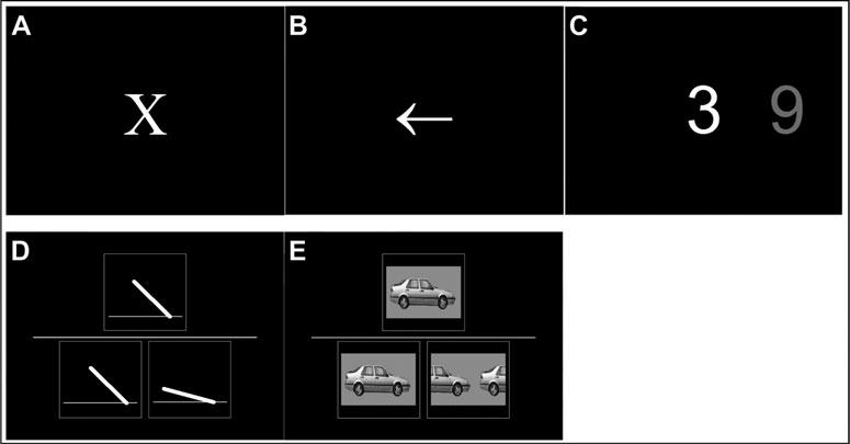 Effects of tdcs in Lewy body dementia 3 Figure 1. Attentional and visuoperceptual tasks.