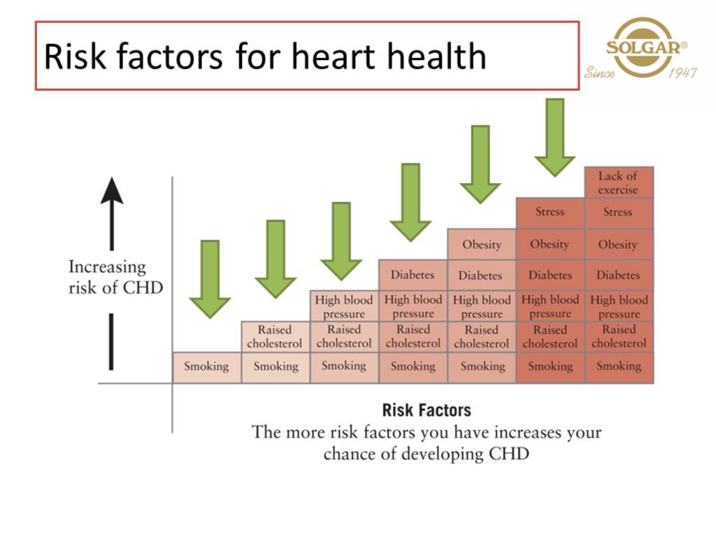 So what are the risk factors that can cause damage and inflammation to the blood vessels and put pressure on the heart? Smoking, which increases oxidative damage from the free radicals in the tobacco.