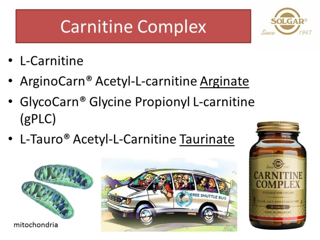 Carnitine is essentially a shuttle bus, carrying fatty acids into the cells mitochondria so they can be burned as a source of energy.