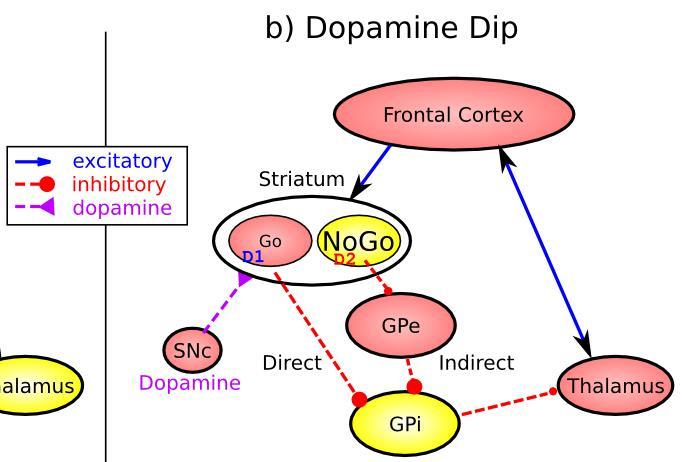 DA dip (decrease in tonic DA neuron firing in SNc) leads to preferential activity of indirect "NoGo" pathway neurons in the striatum, which inhibit the external segment globus pallidus neurons (GPe),