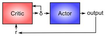 25 The Actor-Critic Idea of Motor Learning The basal ganglia is the actor in this case, and the dopamine signal is the output of the critic, which then serves as a training signal for the actor (and