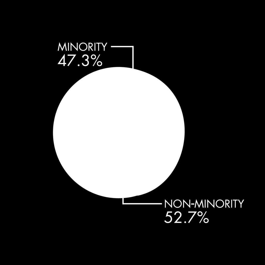 Percentage of Ethnic