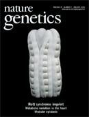 Gene Set Enrichment Analysis (GSEA) Sweet-Cordero A. et al.