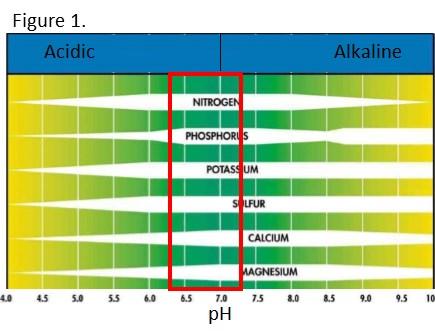 Plant Mineral Macronutrients Affects of ph As seen in Figure 1, ph plays a large role in the availability of both Macroand Micro-nutrients.