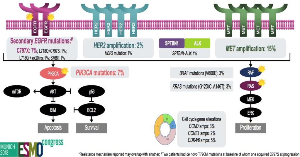 Other mechanisms included HER2 amplification, PIK3CA and RAS mutations C797X 15% [always in cis position when co-occurring with T790M] Loss of T790M was associated with a slightly shorter