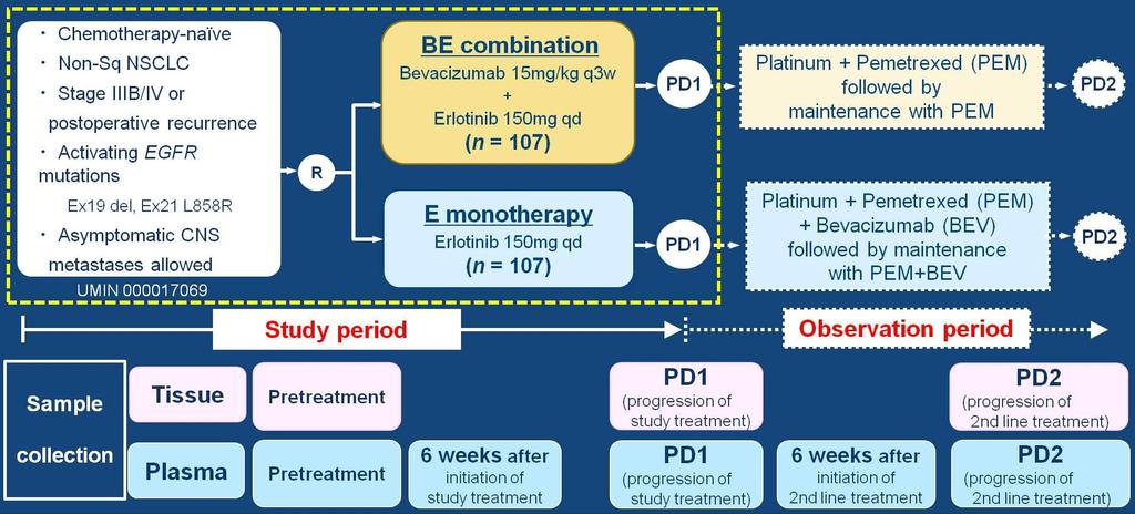NEJ 026 study design Phase III study comparing erlotinib+bevacizumab versus erlotinib in EGFR
