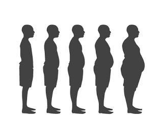 Avoid Creeping Obesity What is Obesity? Overweight is defined as having excess body weight for a particular height from fat, muscle, bone, water, or a combination of these factors.