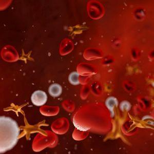 Platelets (Thrombocytes)