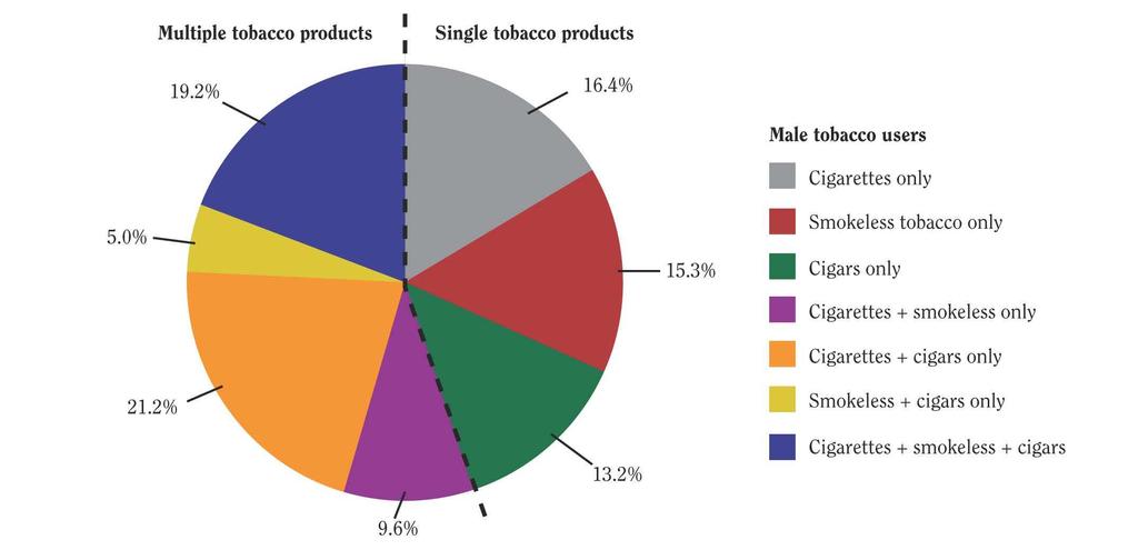 Prevalence of current use of multiple tobacco products among high school males who use tobacco; National Youth Risk