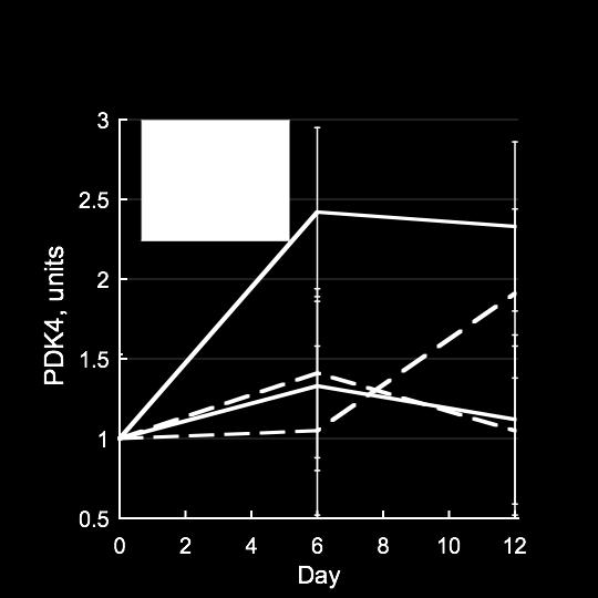 Figure 17. Interaction of infusion, diet and time on expression of PDK4. (P = 0.05; SEM = 0.