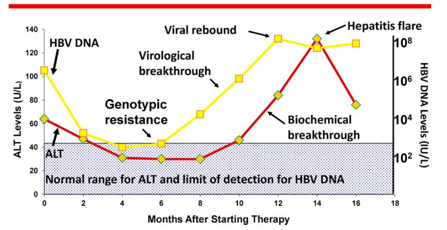 Schematic of Genotypic Resistance and Virological and Biochemical Breakthrough Tana MM and Ghany MG. Clin Liv Dis 2013 EASL 2017 Clinical Practice Guidelines on the management of HBV infection.