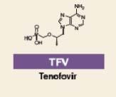 Tenofovir Alafenamide Fumerate Next generation prodrug of tenofovir