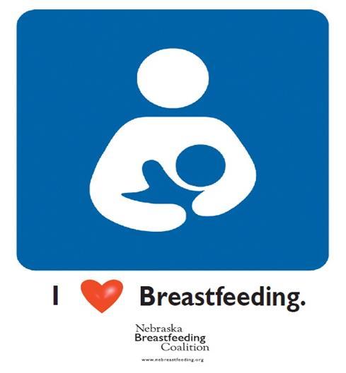 Early Childhood Initiatives Breastfeeding- Obesity prevention in the first year of life: Increasing access to professional and peer support