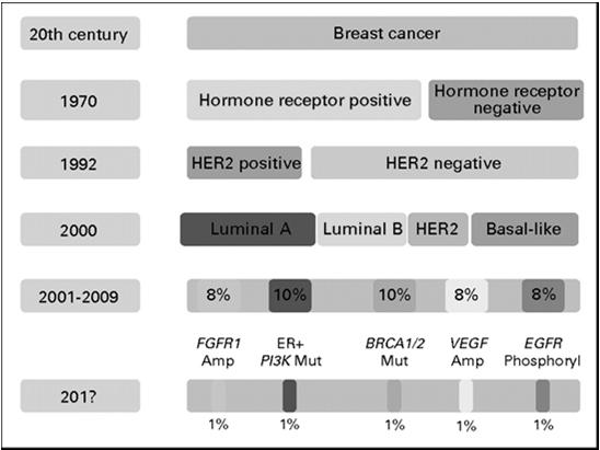 like Luminal A Luminal B HER2 ER+ ER- Months Timelines of biologic breast cancer subclassification