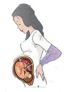 PREGNANCY AND DELIVERY During PREGNANCY a baby forms and grows inside its mother. FOR HUMAN, this state of the reproduction process lasts NINE MONTHS.
