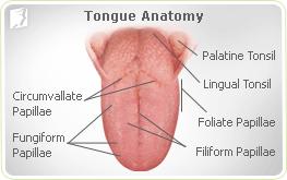tongue, its causes, and the options