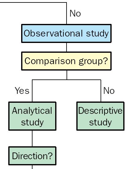 Descriptive Study Do not feature a comparison (control) group.