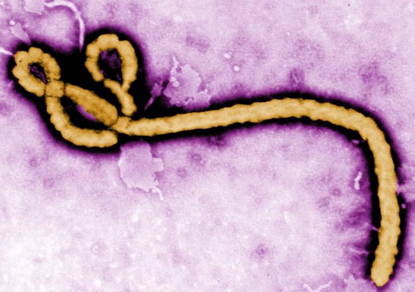 2014 Ebola Outbreak