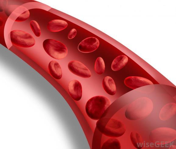 Blood Vessels- Arteries Arteries carry oxygenated blood Away from the left side of the heart.
