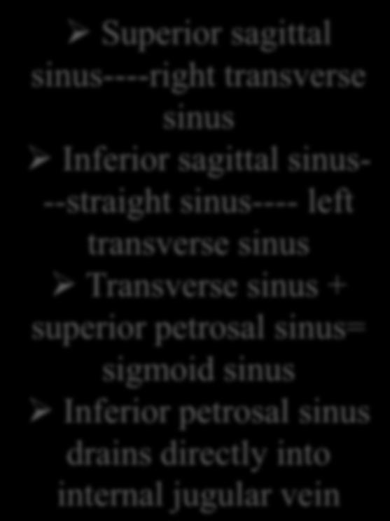 superior petrosal sinus= sigmoid sinus Inferior petrosal sinus drains