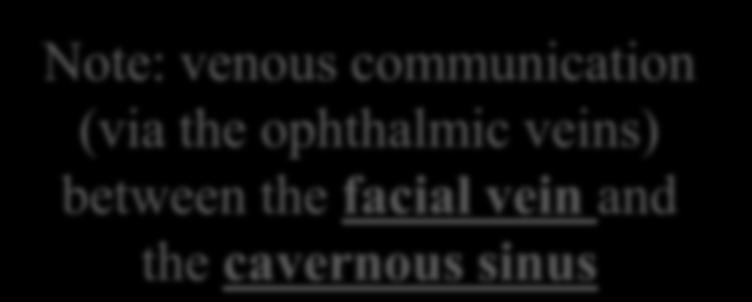 Superior and inferior ophthalmic veins